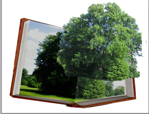 Creation of my book: Step 4